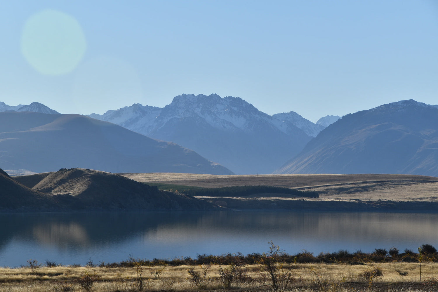 Where does our honey come from? Meet our partner